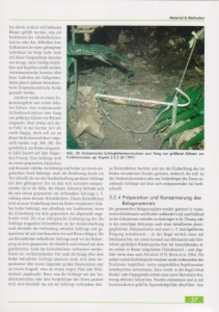 Die Amphibien und Reptilien eines Tieflandfeuchtwald-Schutzgebietes in Vietnam
